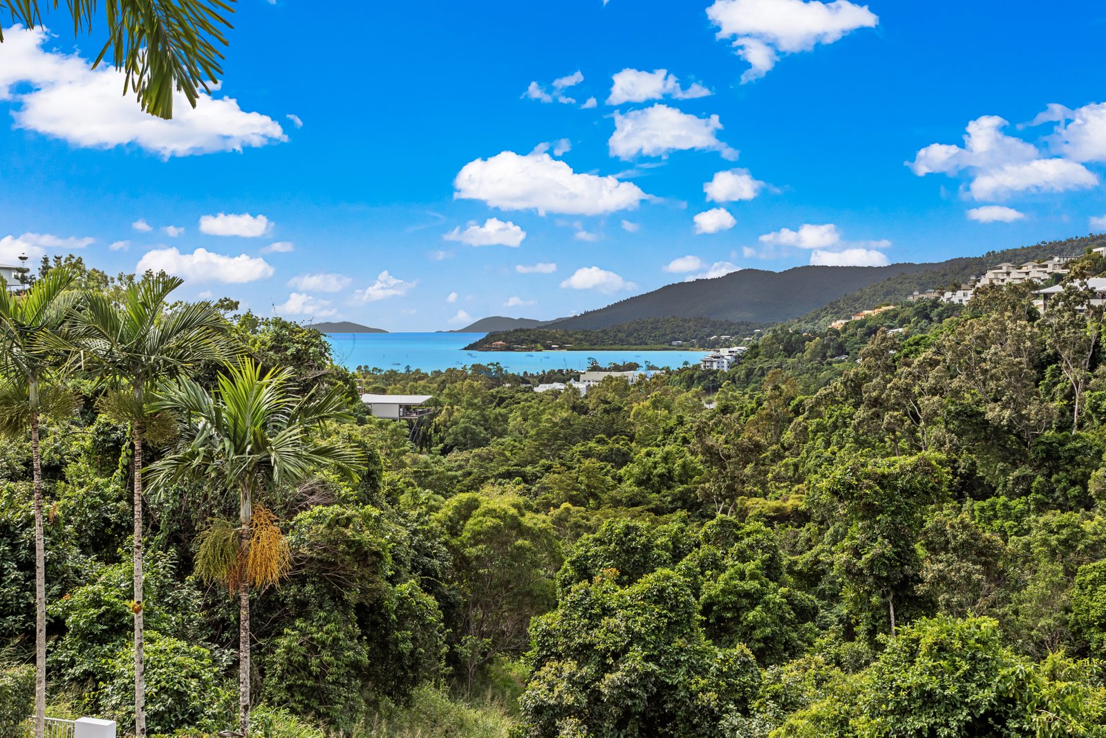 8/15 Flame Tree Court AIRLIE BEACH 18