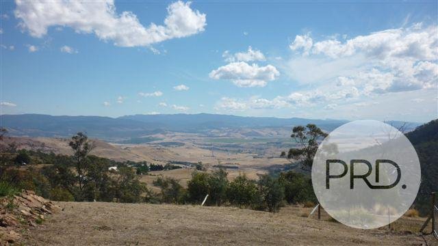 816 Black Hills Road BLACK HILLS 5