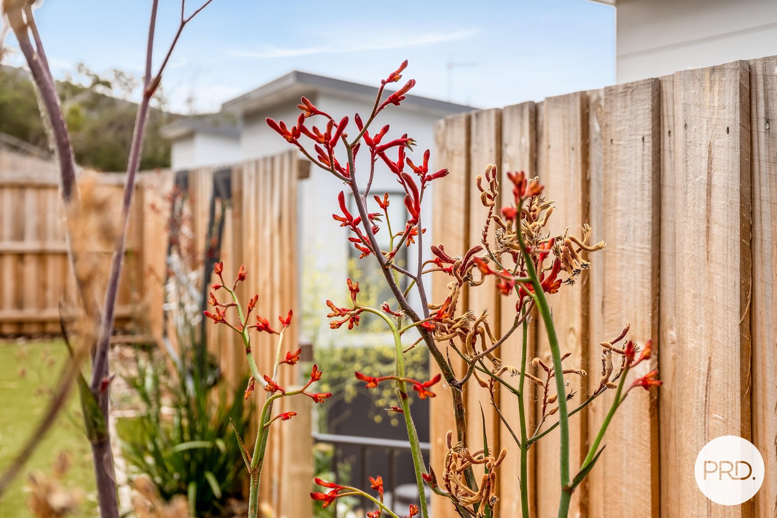 8/163-171 Branscombe Road CLAREMONT 21