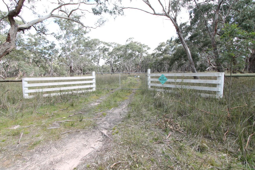 81A Browns Road DEREEL 1