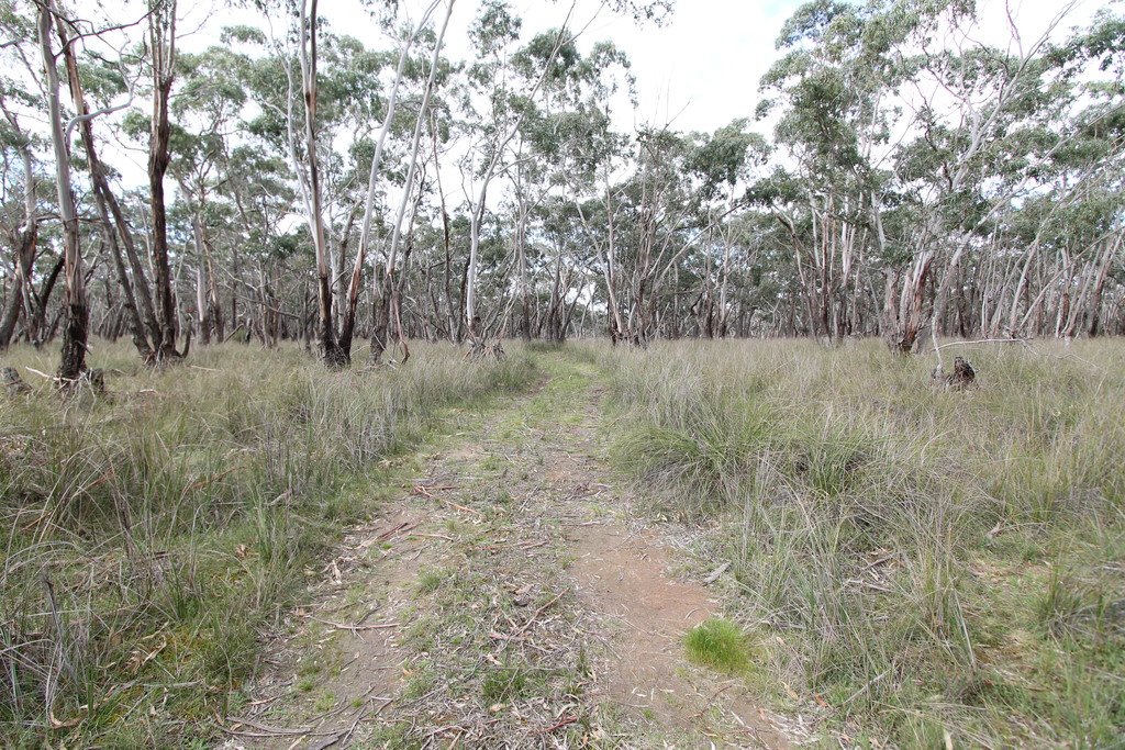 81A Browns Road DEREEL 3