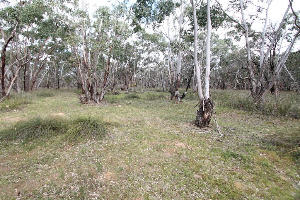 81A Browns Road DEREEL 7