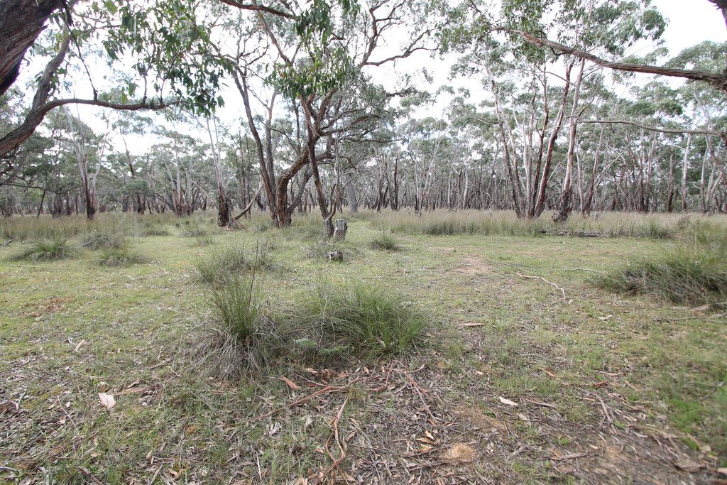 81A Browns Road DEREEL 8