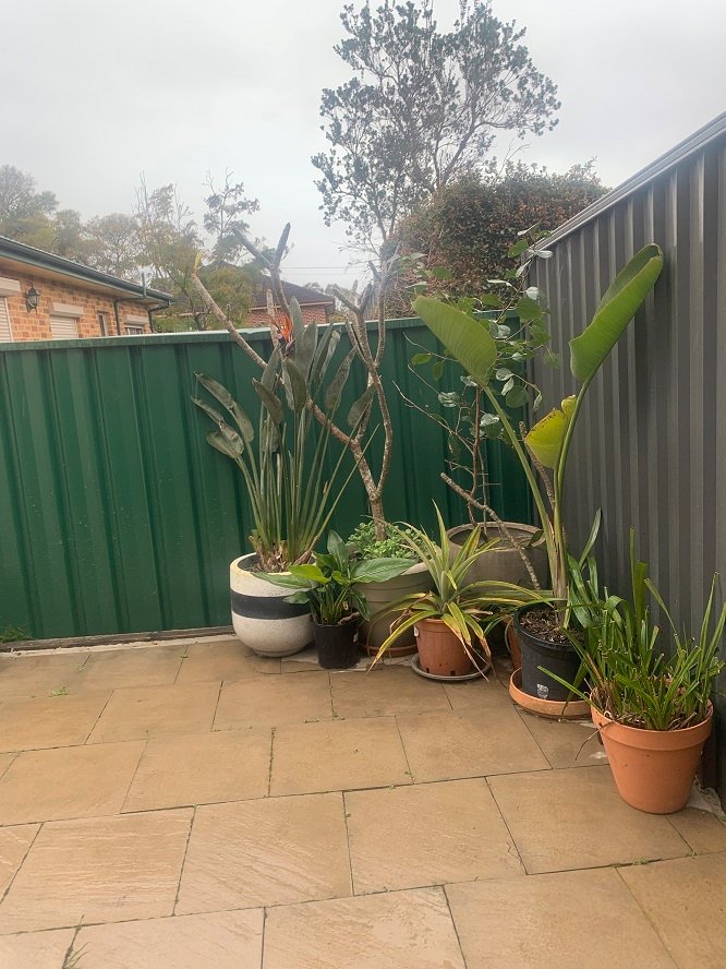 81a Letitia St  OATLEY 6