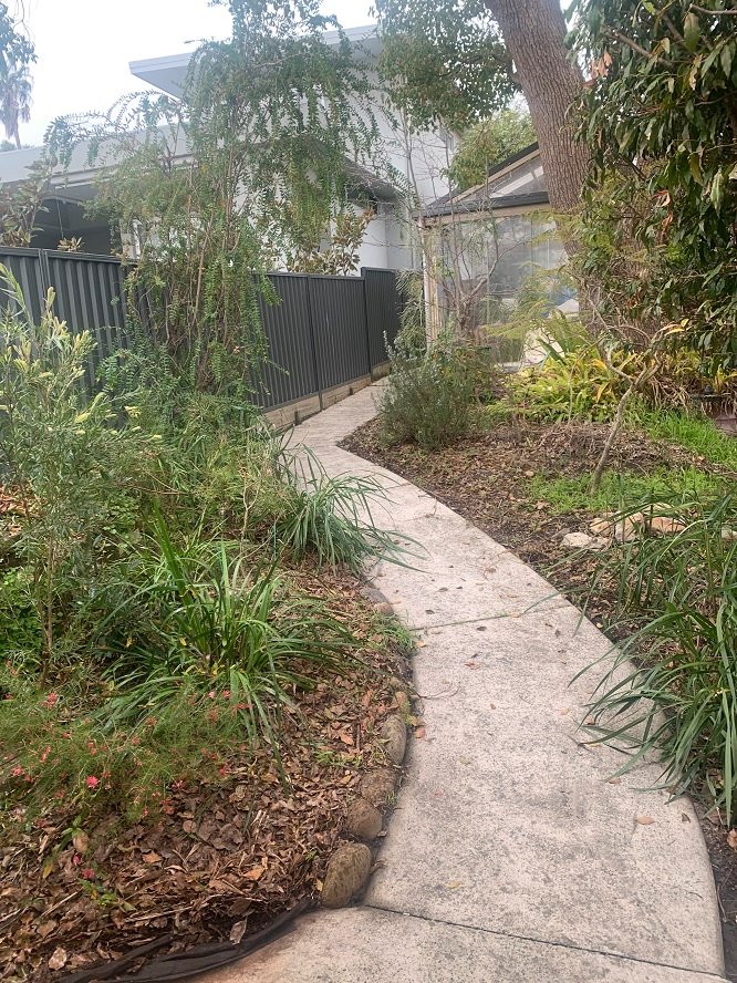 81a Letitia St  OATLEY 11