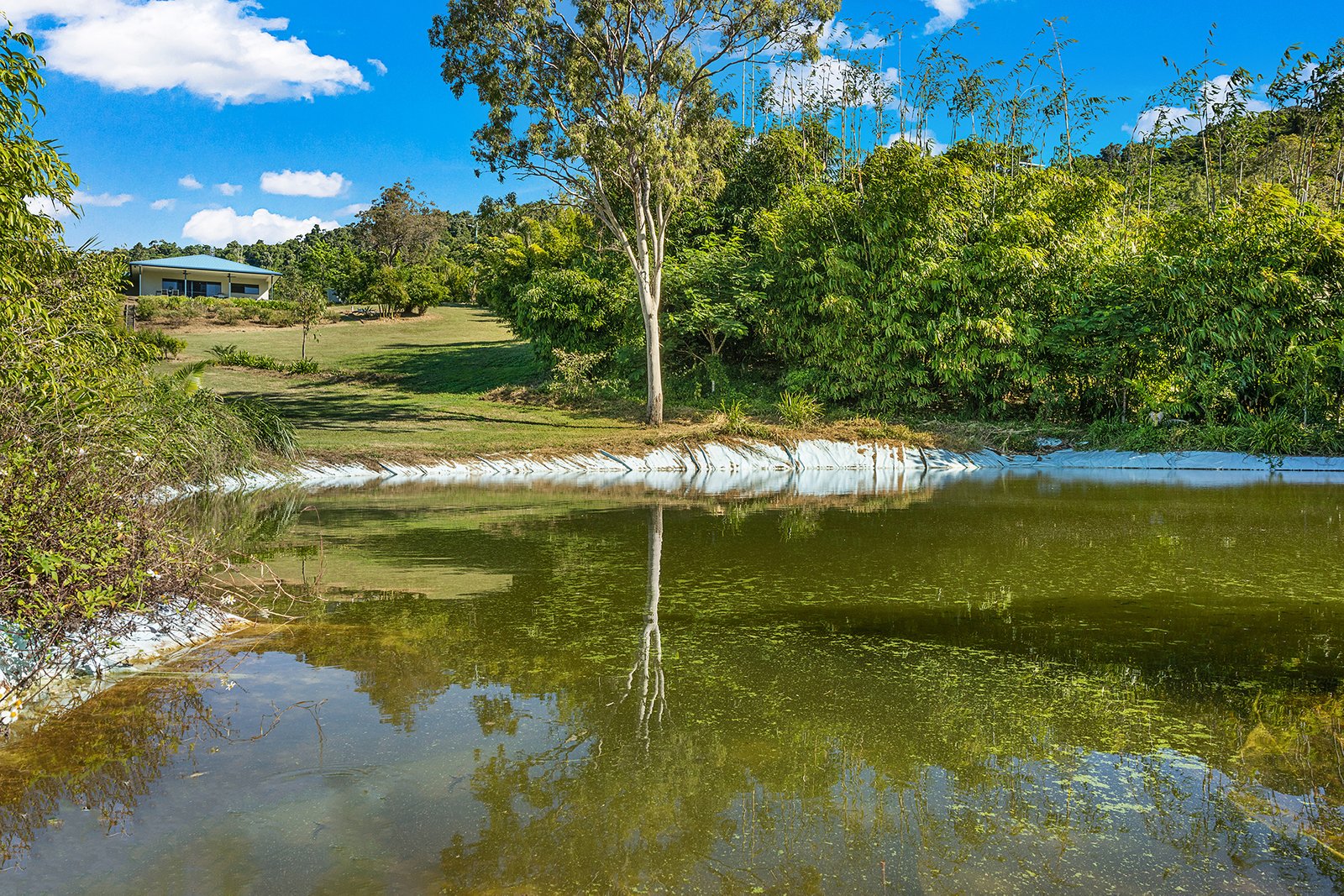 82 Gillies Road STRATHDICKIE 7