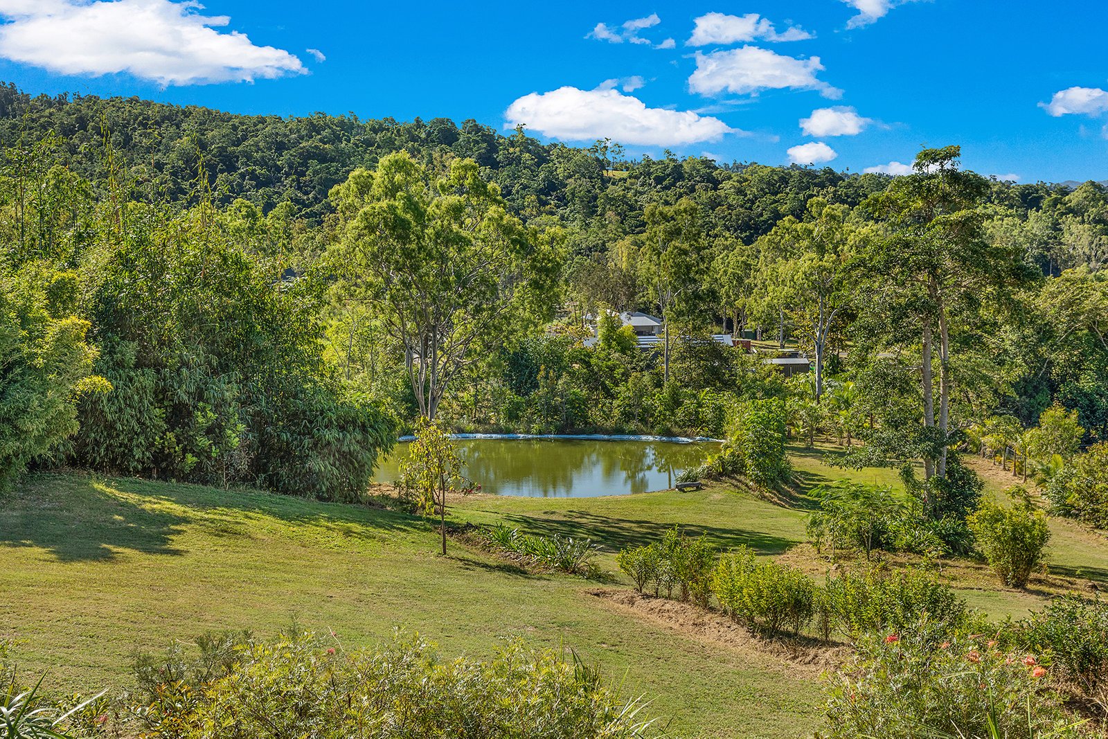 82 Gillies Road STRATHDICKIE 21