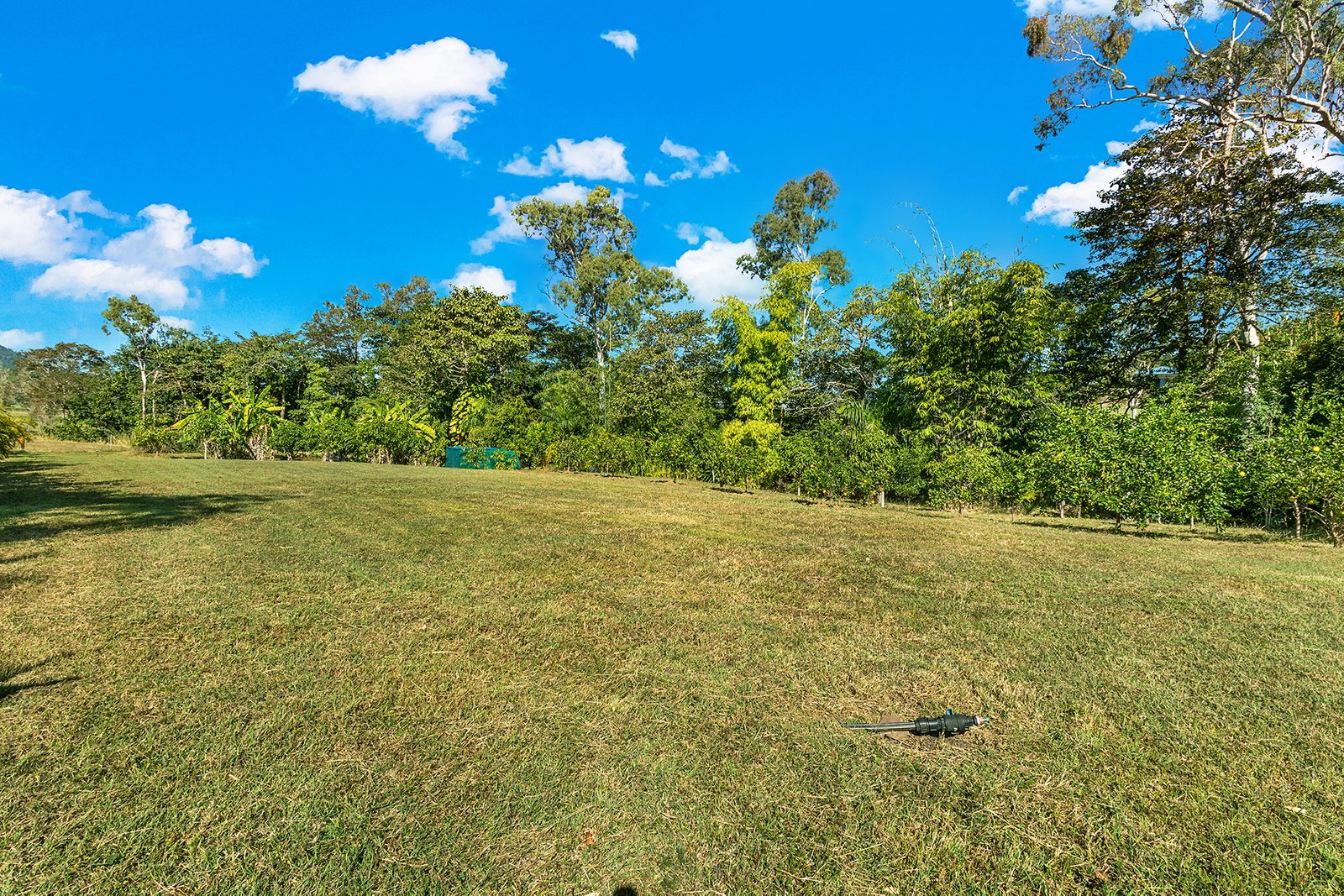 82 Gillies Road STRATHDICKIE 23