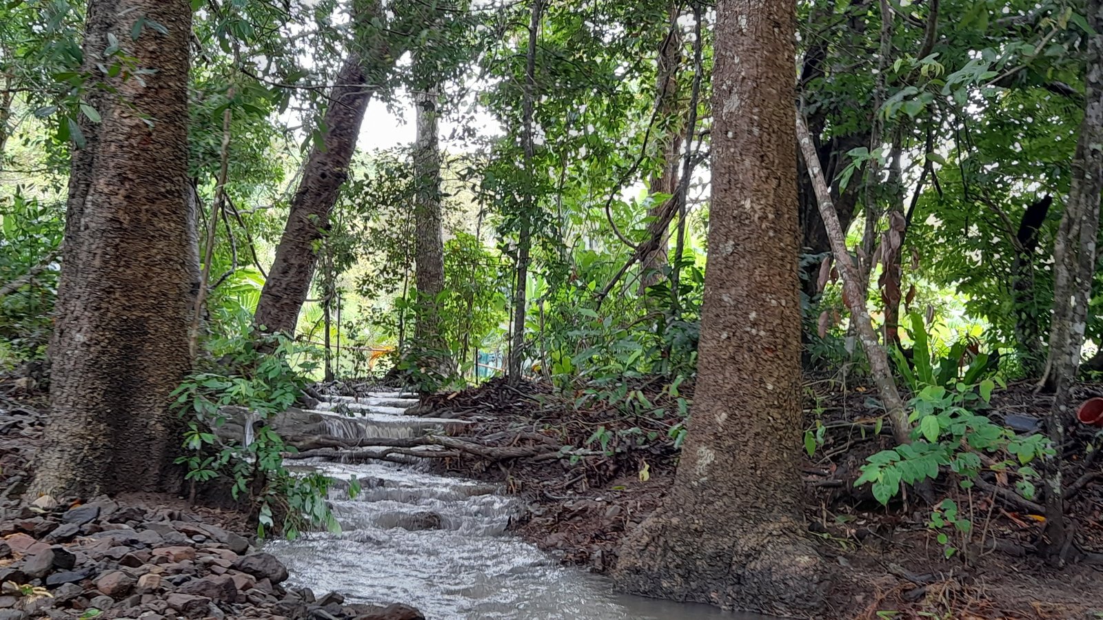 82 Gillies Road STRATHDICKIE 20