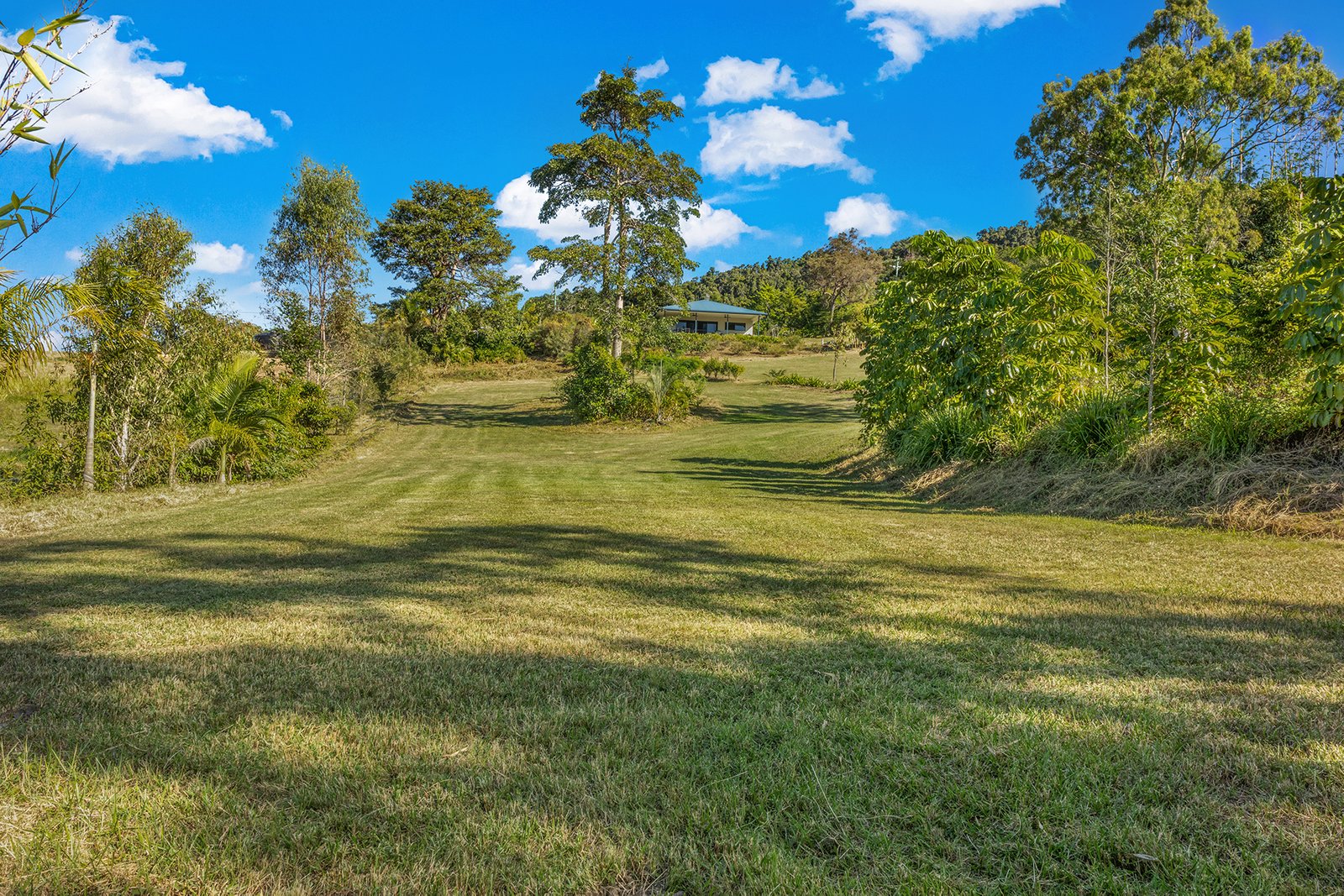 82 Gillies Road STRATHDICKIE 26