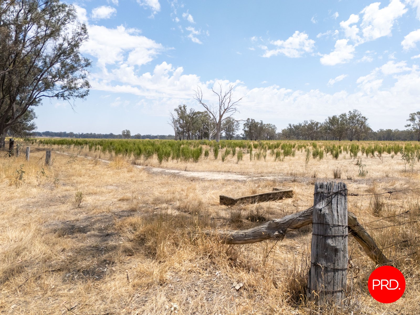 82 Hudson Road BAILIESTON 3