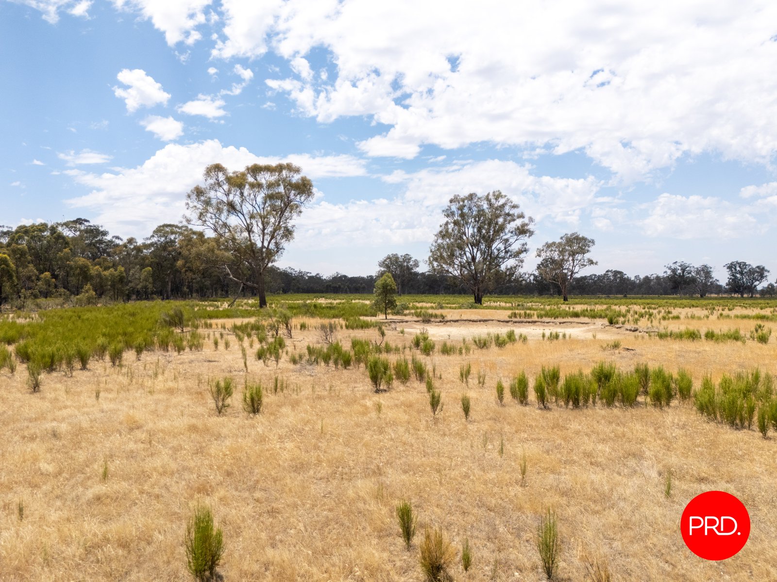 82 Hudson Road BAILIESTON 4