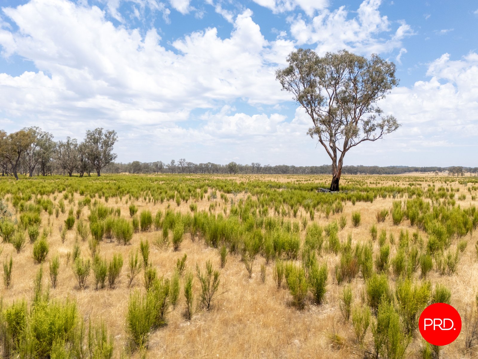 82 Hudson Road BAILIESTON 5