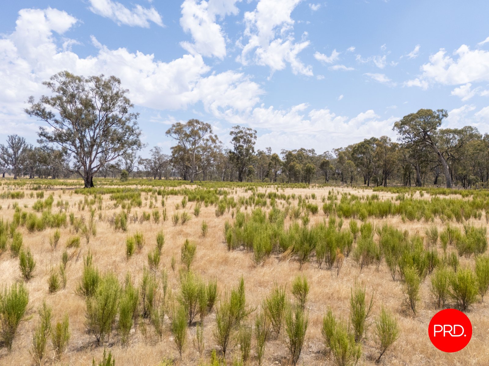 82 Hudson Road BAILIESTON 6