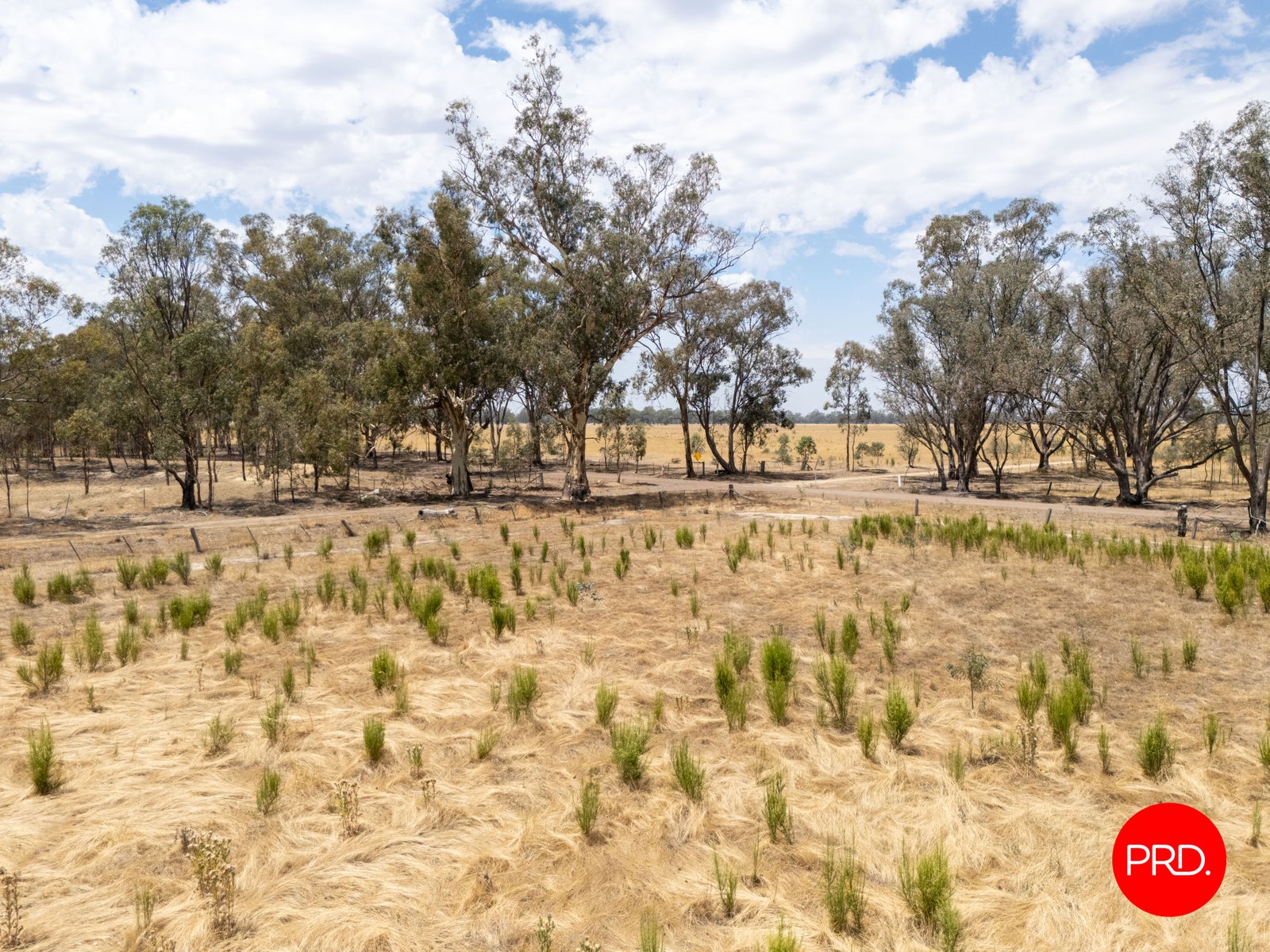 82 Hudson Road BAILIESTON 7