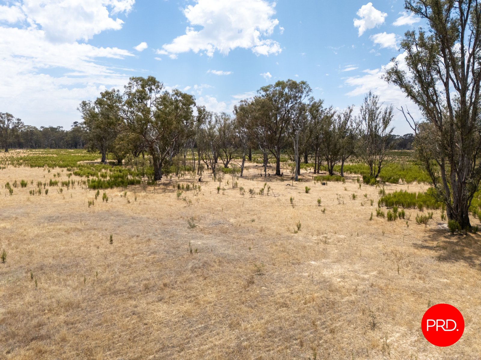 82 Hudson Road BAILIESTON 8