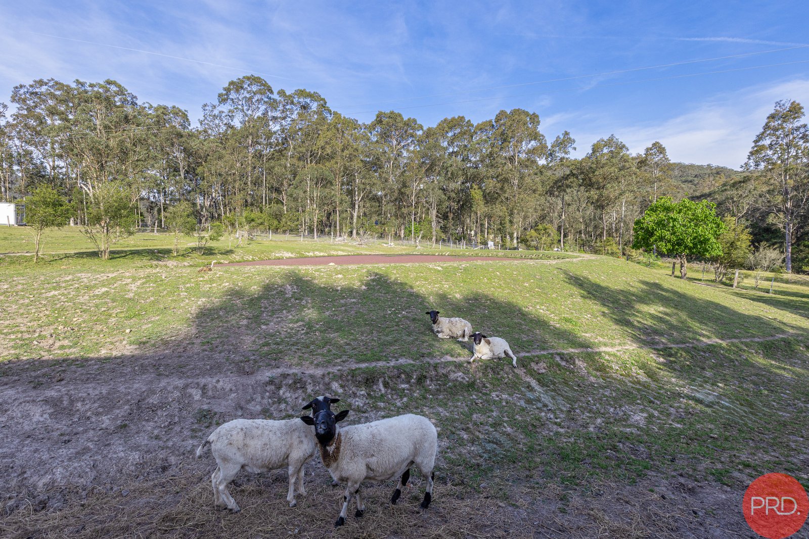 82 Keppies Road PATERSON 33