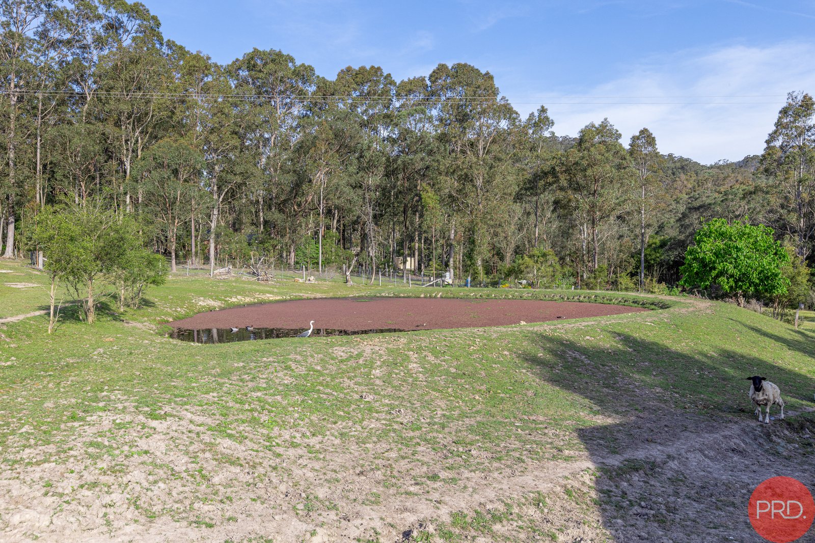 82 Keppies Road PATERSON 34