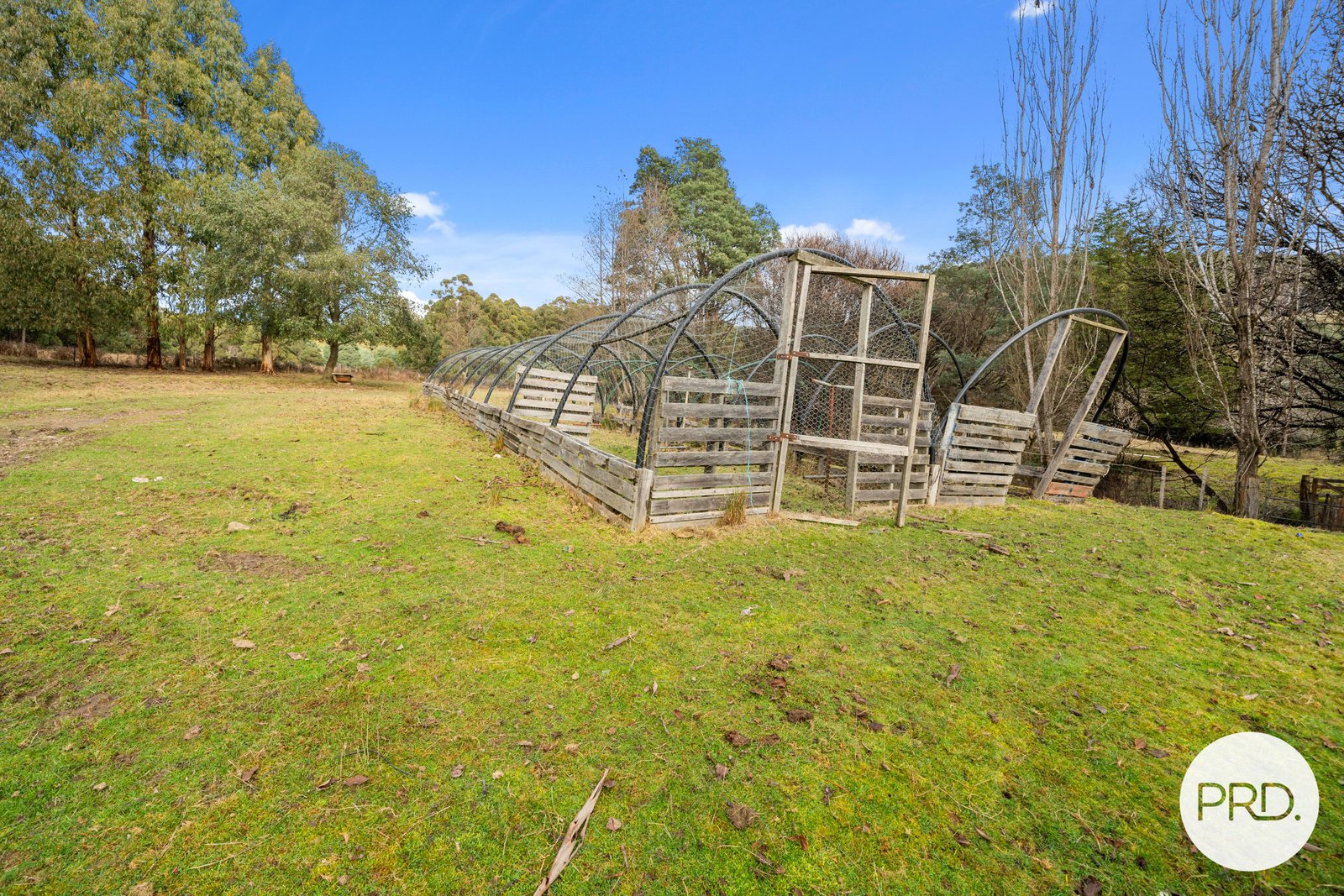 82 Marriotts Road ELLENDALE 15