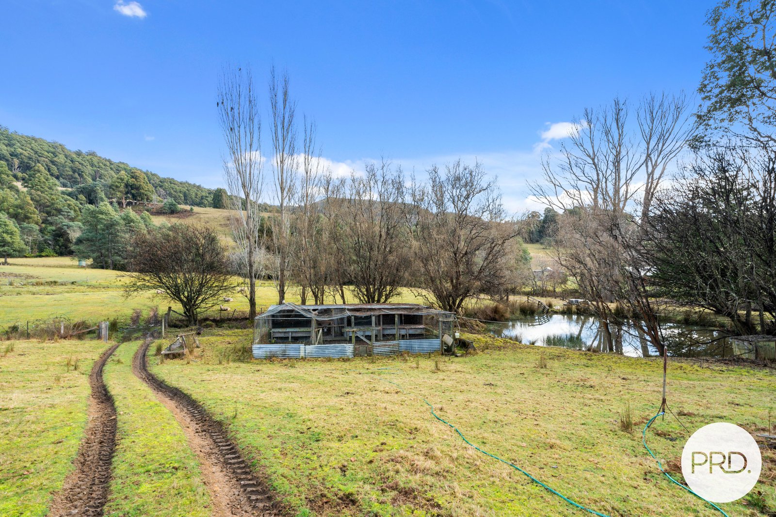 82 Marriotts Road ELLENDALE 17