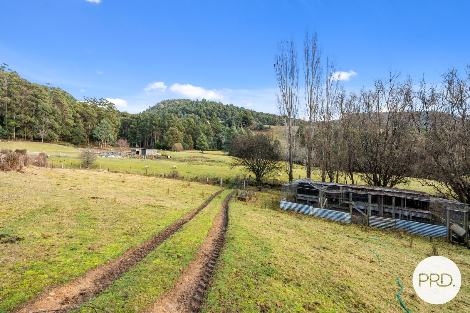 82 Marriotts Road ELLENDALE 18