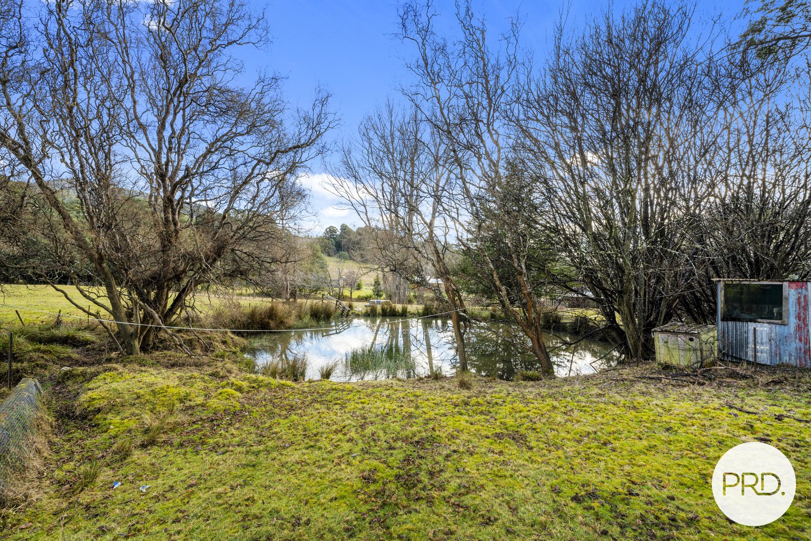 82 Marriotts Road ELLENDALE 19