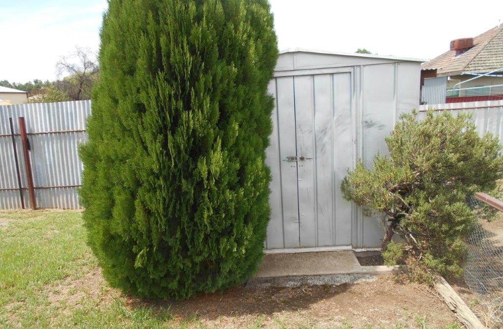 82 Russell Street TUMUT 17