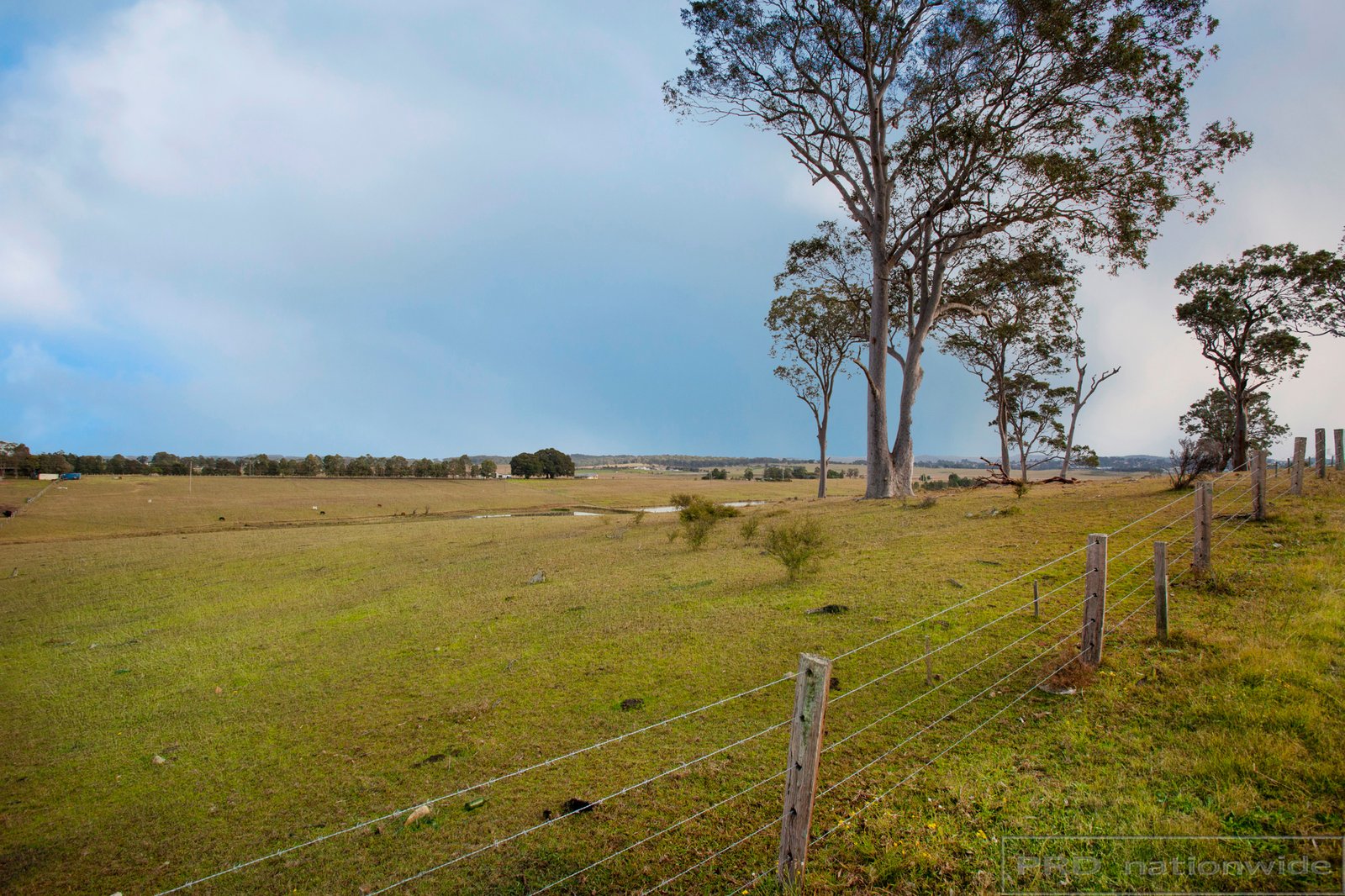 82 Ryans Road GILLIESTON HEIGHTS 19