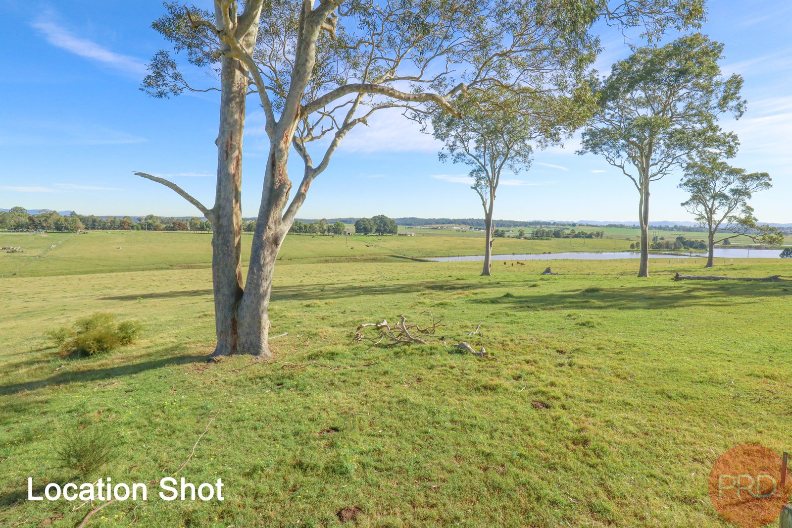 82 Ryans Road GILLIESTON HEIGHTS 2