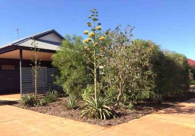 82 Sandpiper Ave  DJUGUN 11