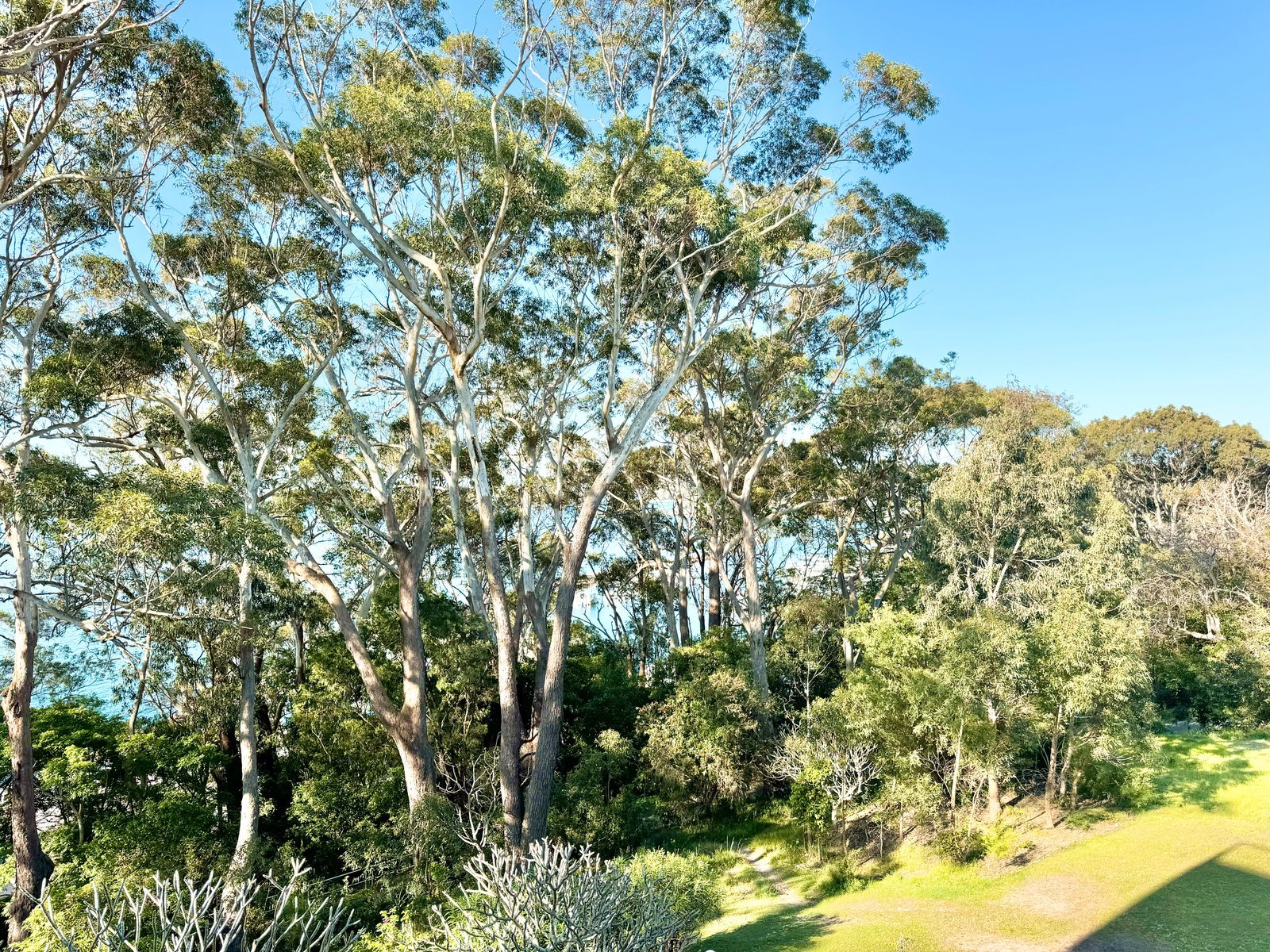8/2 Thurlow Avenue NELSON BAY 4