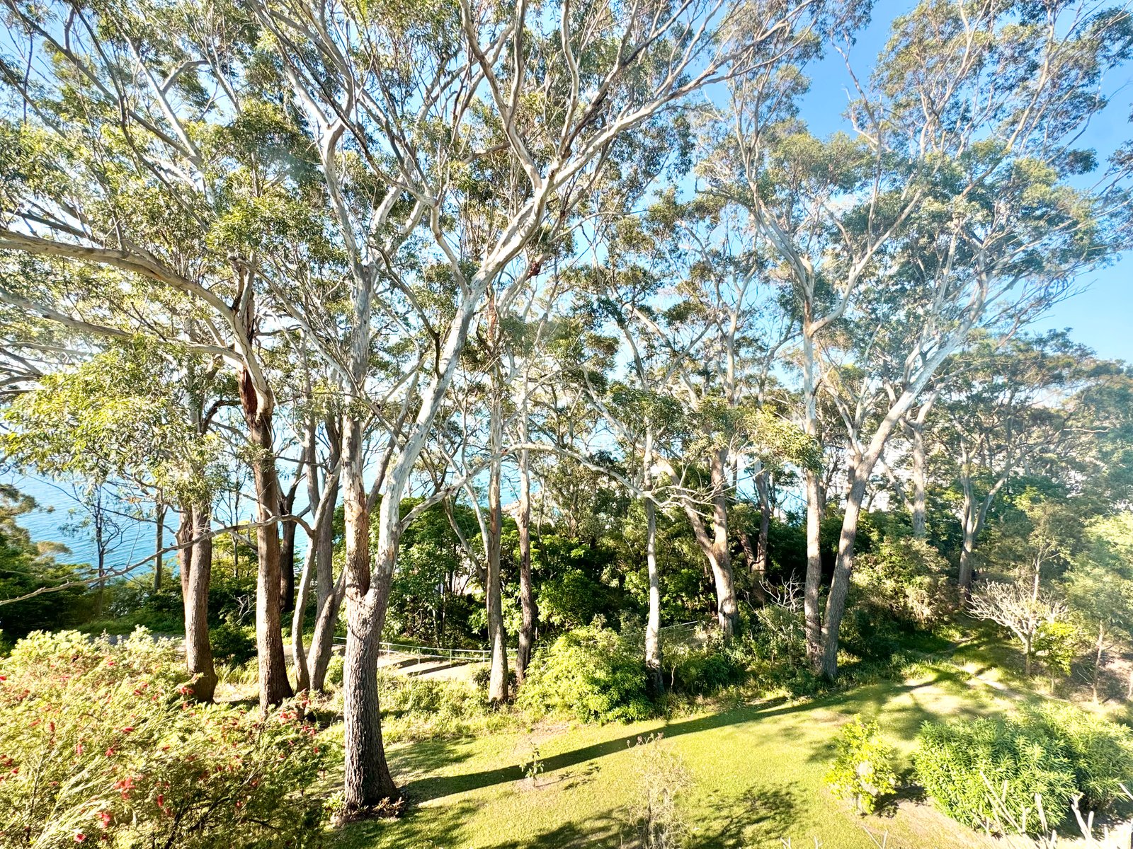8/2 Thurlow Avenue NELSON BAY 11