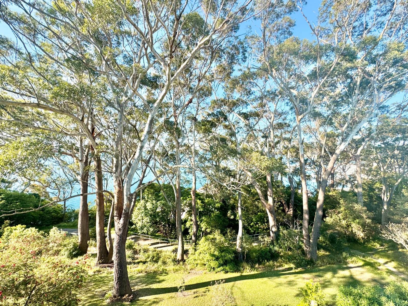8/2 Thurlow Avenue NELSON BAY 15