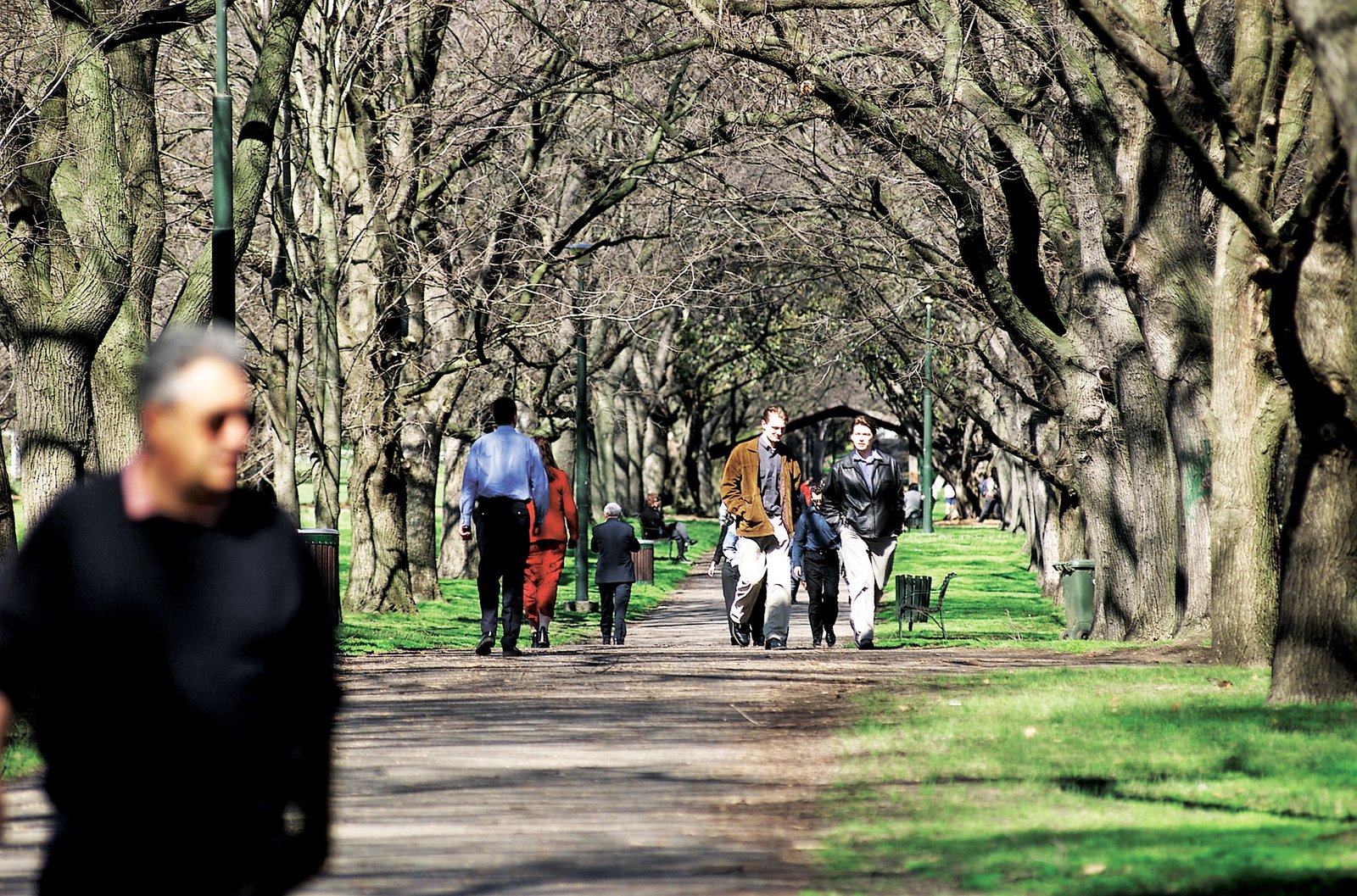 Real Estate and Property in 8/20 Walsh Street, South Yarra, VIC