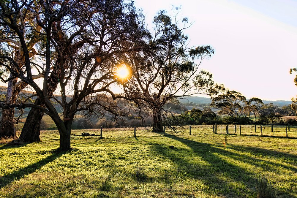 Real Estate and Property in 820A Baynton Road, Pastoria East, VIC