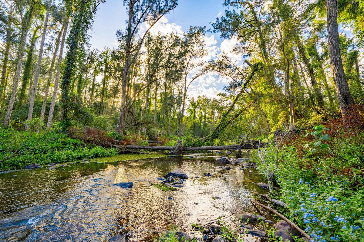 822 Gilston Road Gilston 3