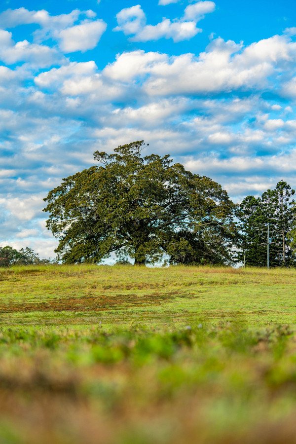 822 Gilston Road Gilston 6