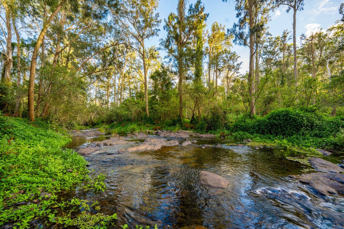 822 Gilston Road Gilston 7