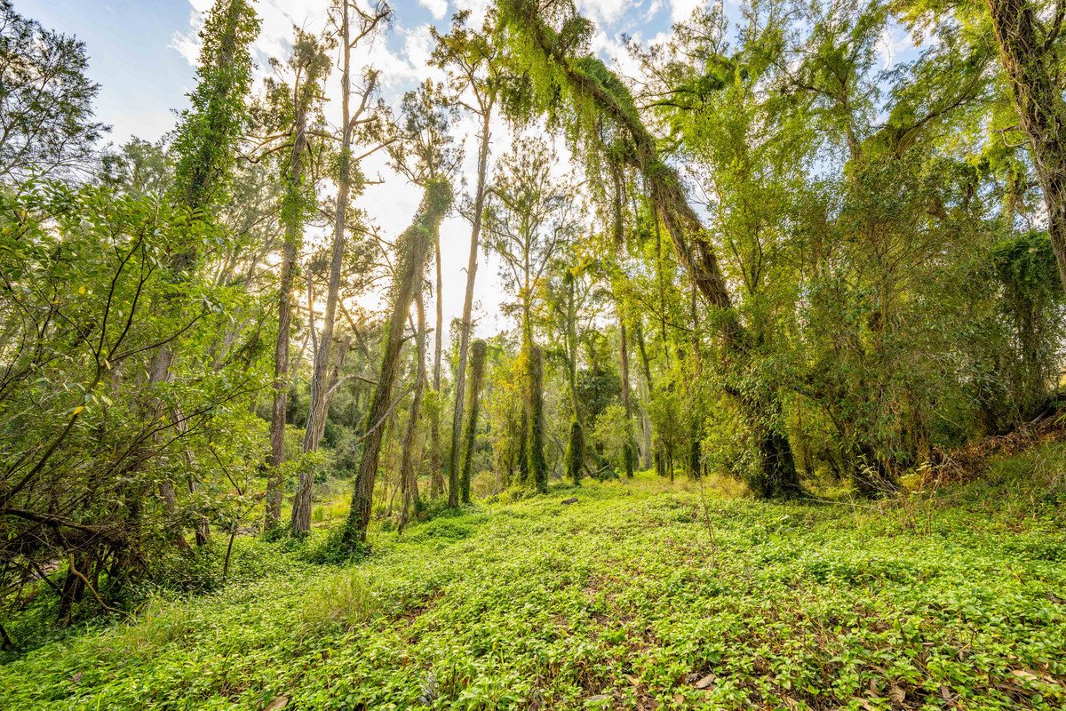 822 Gilston Road Gilston 12