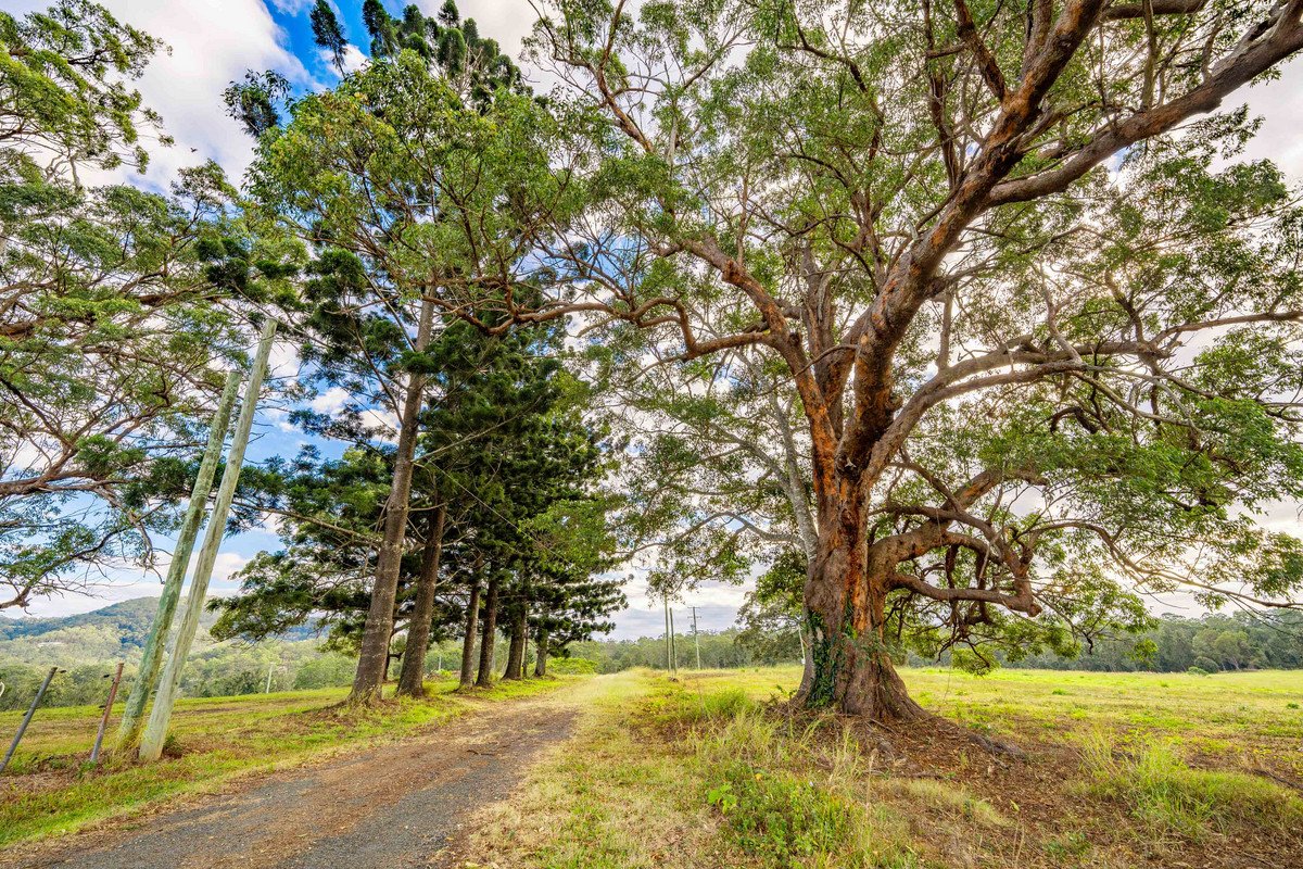 822 Gilston Road Gilston 13