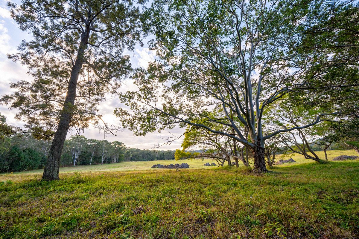 822 Gilston Road Gilston 19