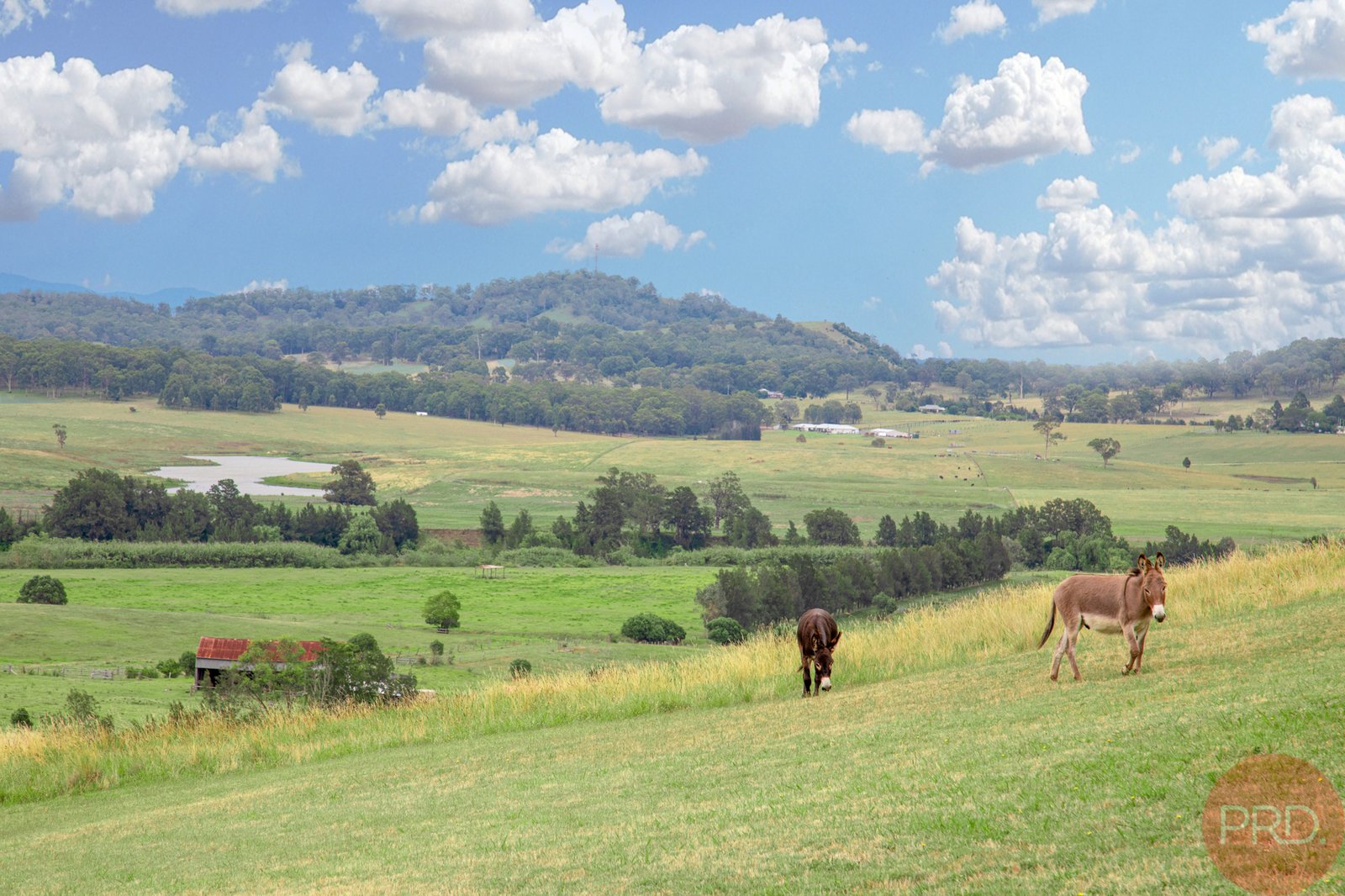822 Maitland Vale Rd  ROSEBROOK 8