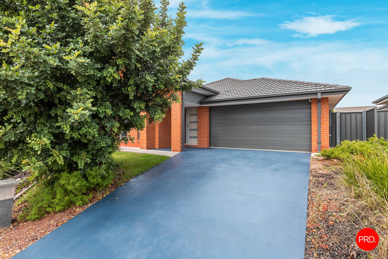 823 Oakwood Avenue JACKASS FLAT 4