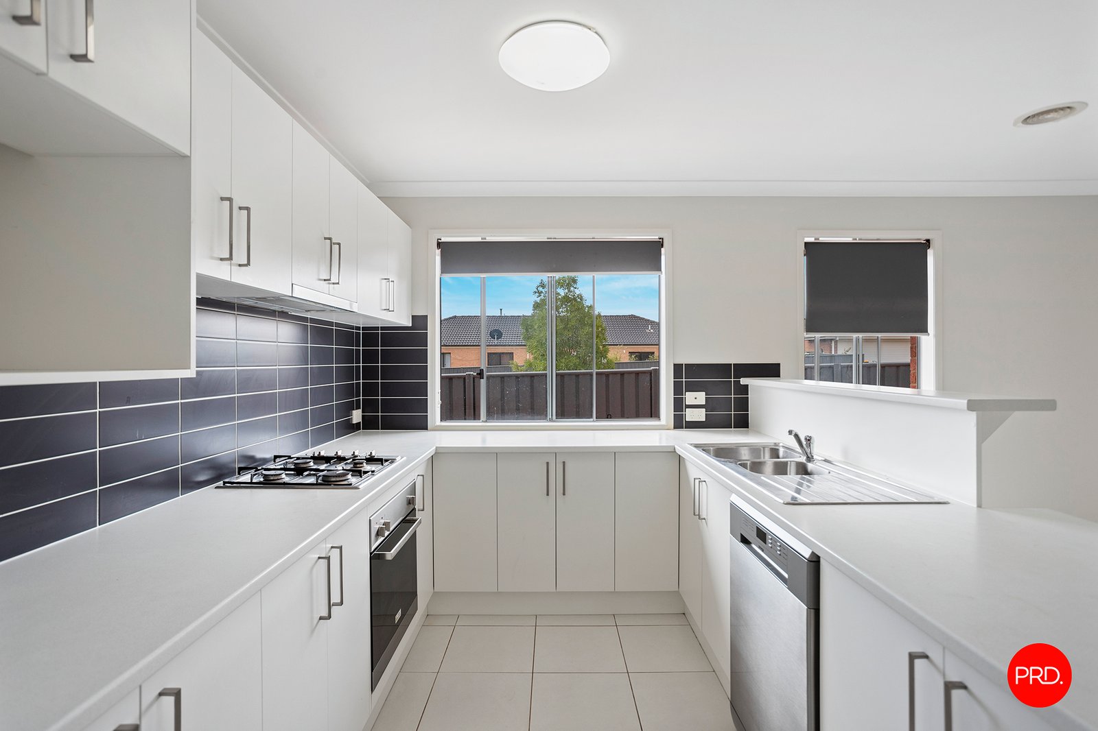 823 Oakwood Avenue JACKASS FLAT 9