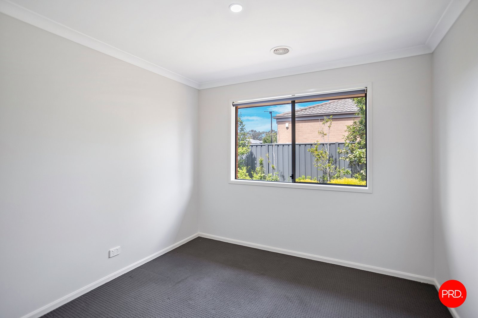 823 Oakwood Avenue JACKASS FLAT 17