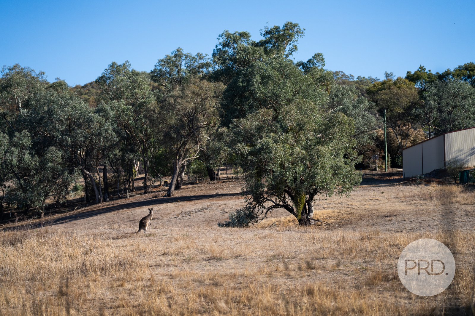 827-841 Centaur Road HAMILTON VALLEY 5