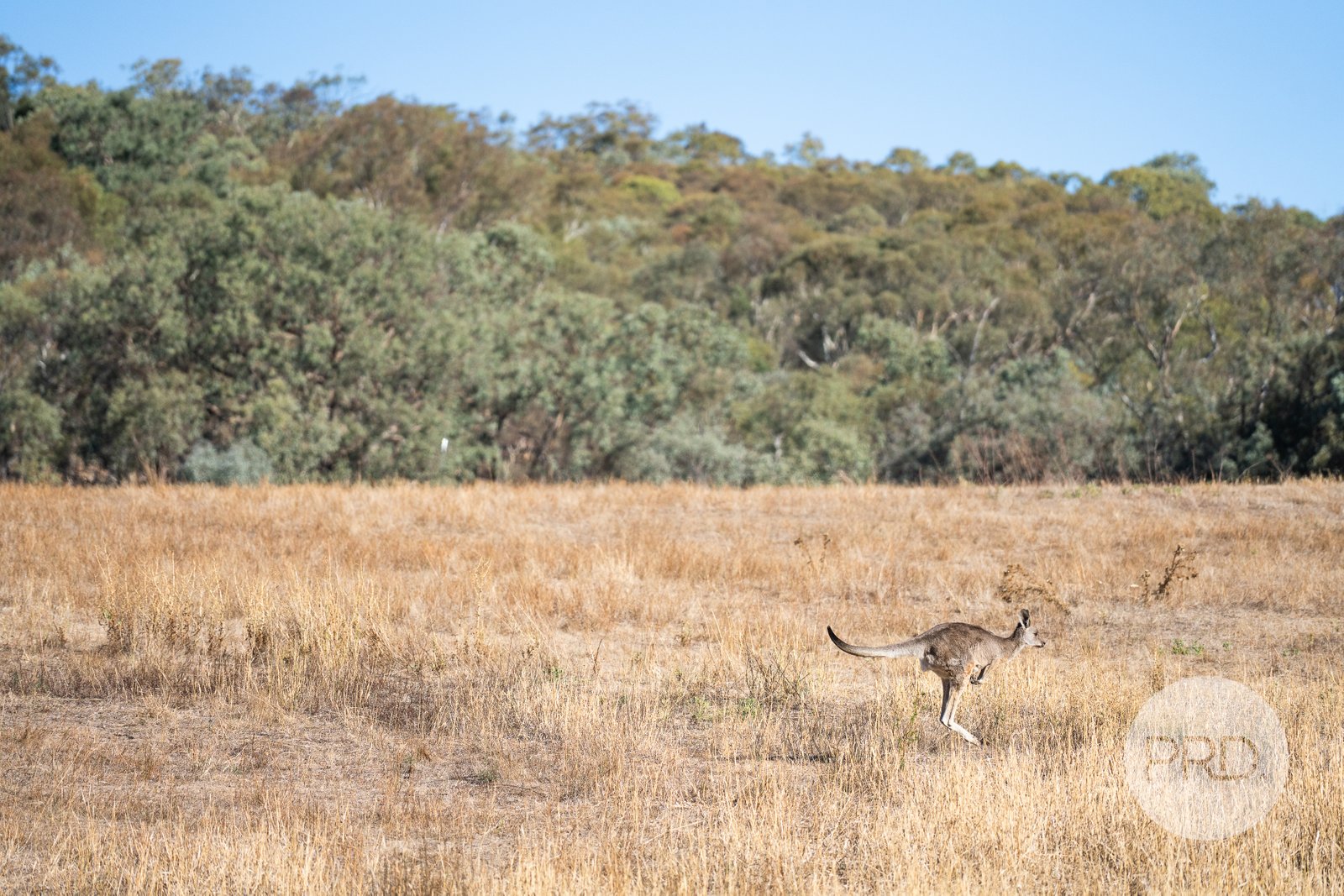 827-841 Centaur Road HAMILTON VALLEY 7