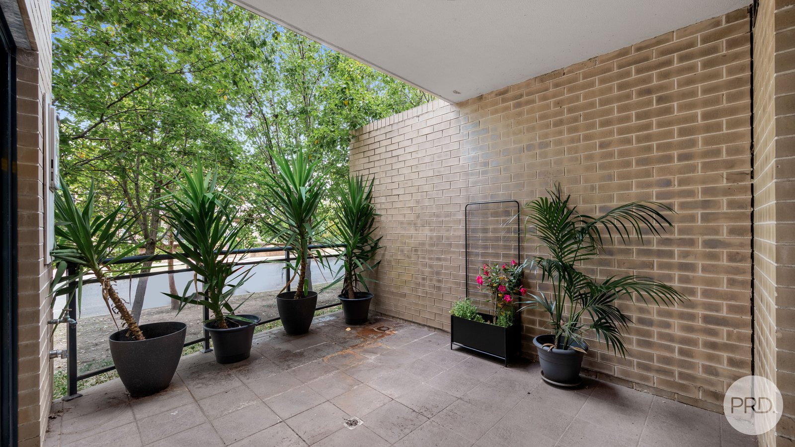 8/29-31 Preston Street JAMISONTOWN 13