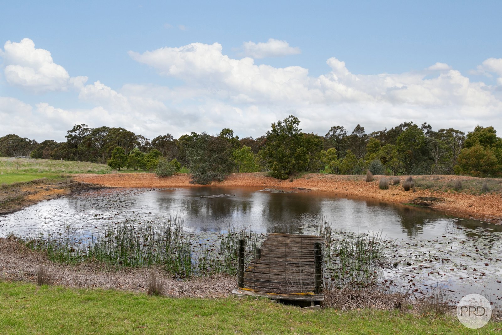 829 Racecourse Road WATERLOO 14