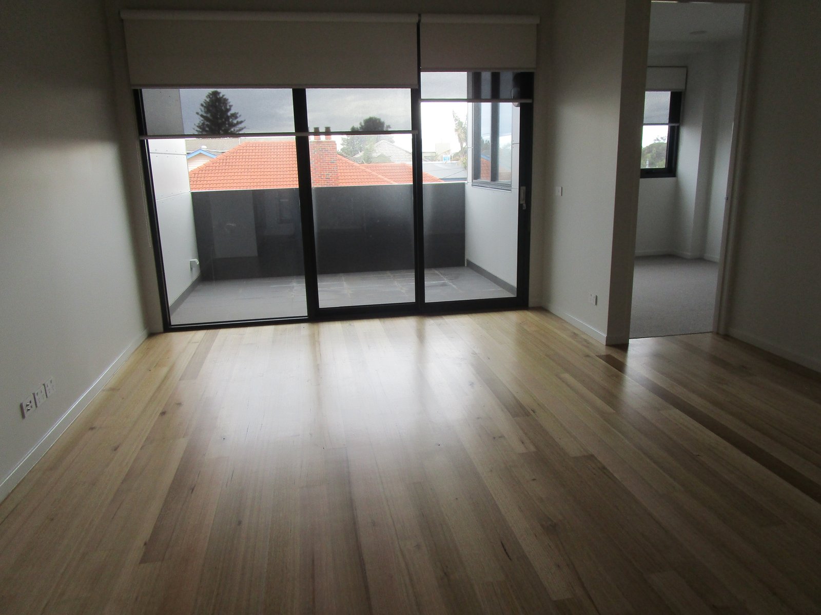 Gallery: 8/2A Newberry Avenue